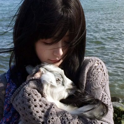 情韵动春心海报